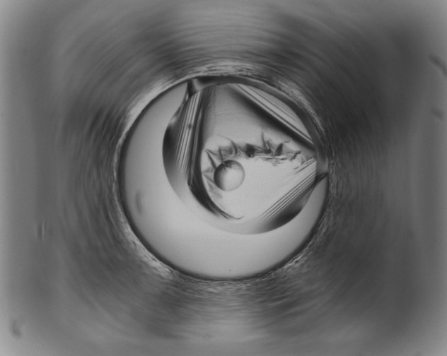 X0000099431091200806061013