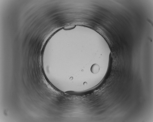 X0000099431092200806061013