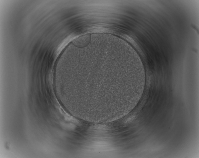 X0000099431094200806061013