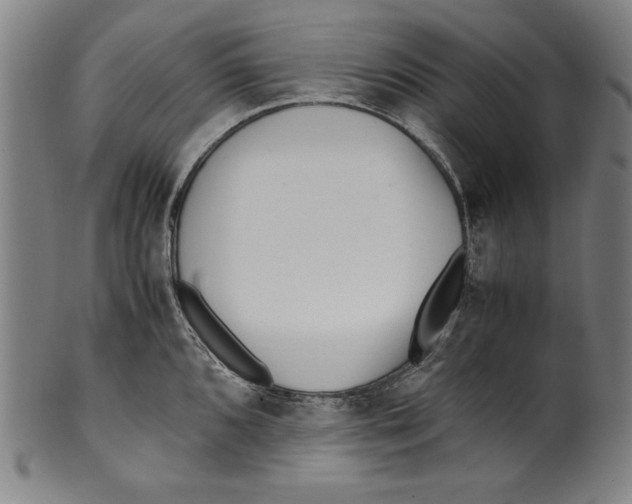 X0000099431096200806061013