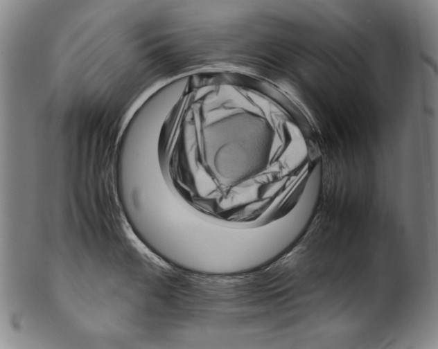 X0000099431100200806061013