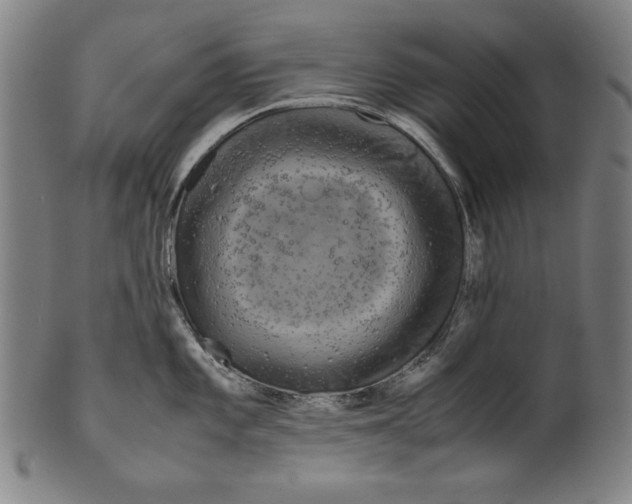 X0000099431101200806061013