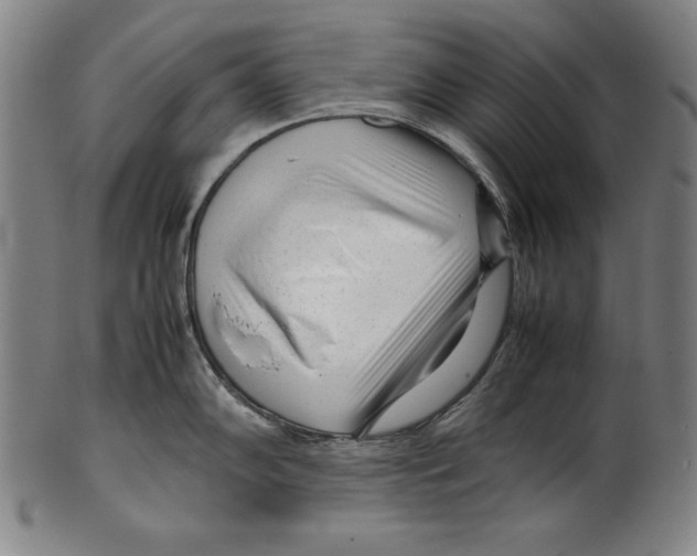 X0000099431102200806061013