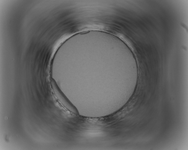 X0000099431104200806061013