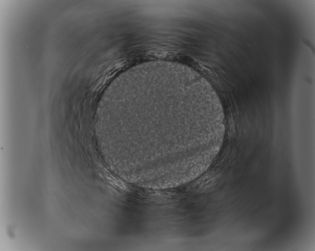 X0000099431105200806061012