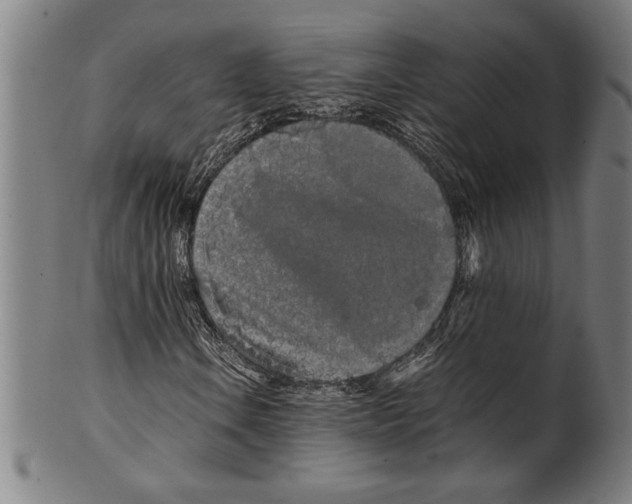 X0000099431106200806061012