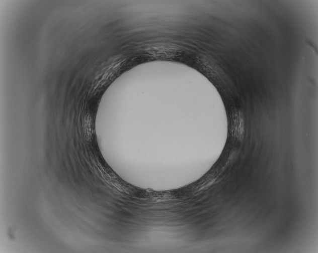 X0000099431108200806061012