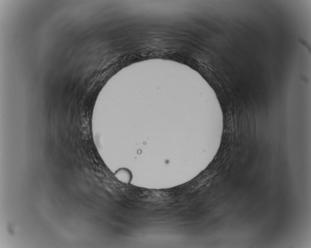 X0000099431109200806061012