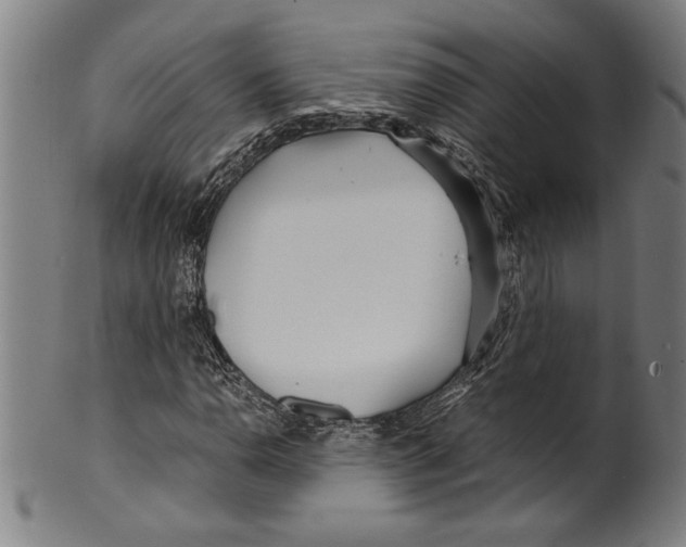 X0000099431110200806061012