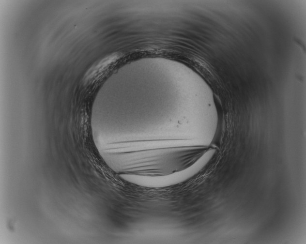 X0000099431111200806061012