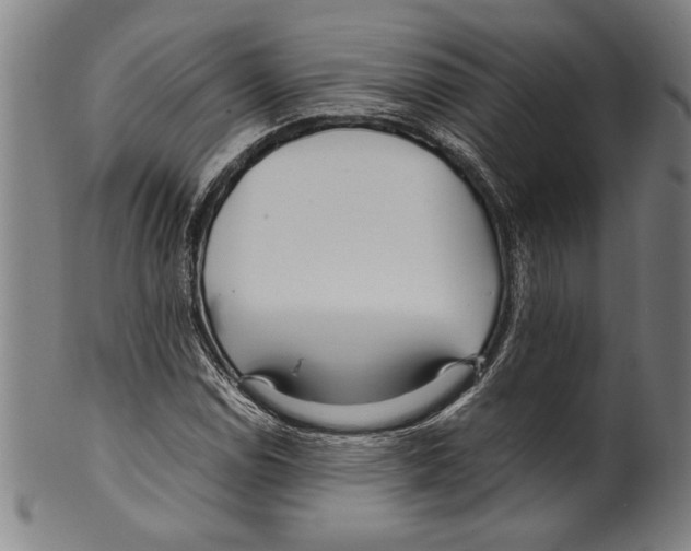 X0000099431114200806061012