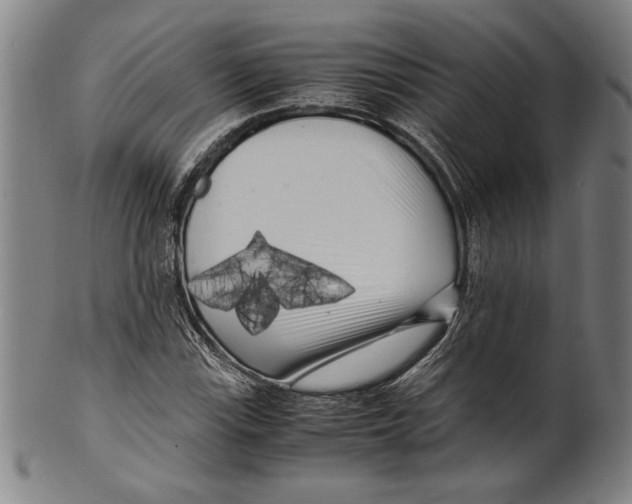 X0000099431115200806061012