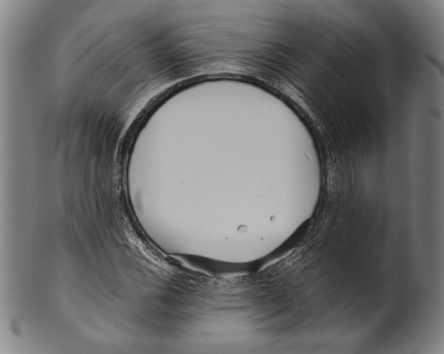 X0000099431116200806061012