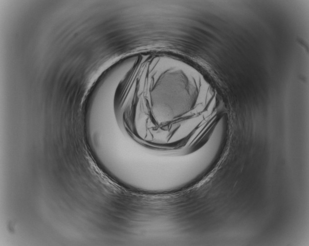 X0000099431118200806061012