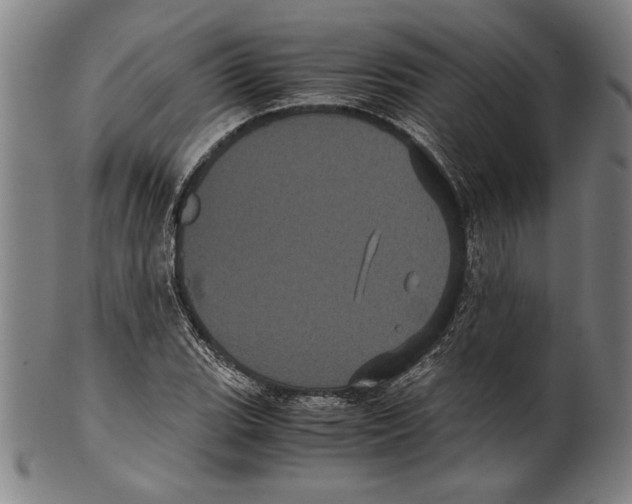 X0000099431119200806061012