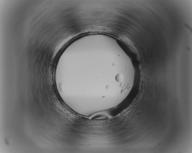 X0000099431120200806061012