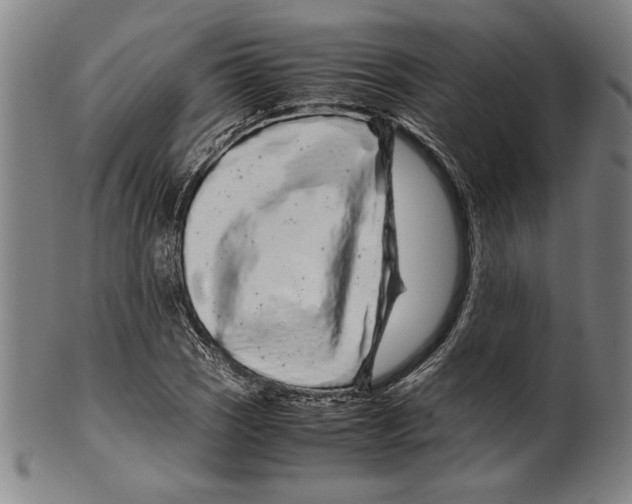 X0000099431121200806061012