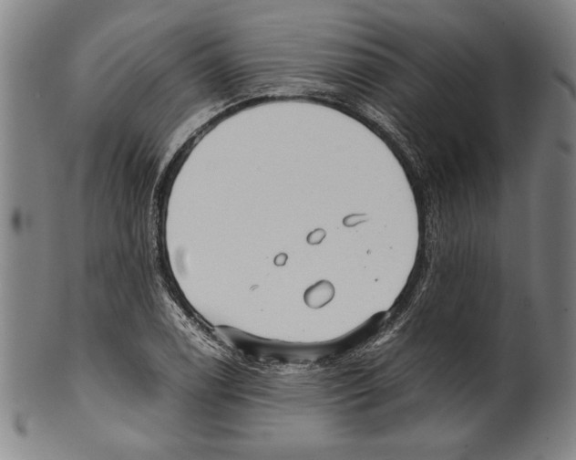 X0000099431122200806061012