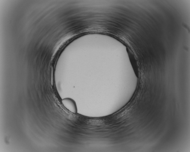 X0000099431123200806061012