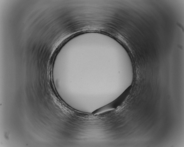 X0000099431124200806061012