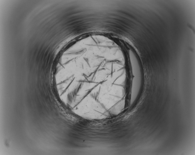 X0000099431125200806061012