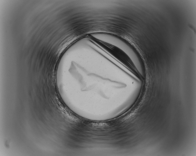 X0000099431129200806061012