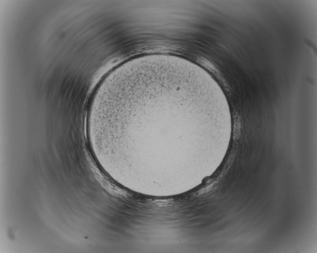 X0000099431130200806061012