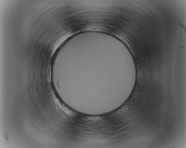 X0000099431131200806061012