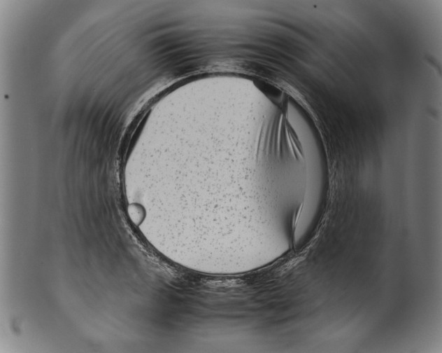 X0000099431133200806061013