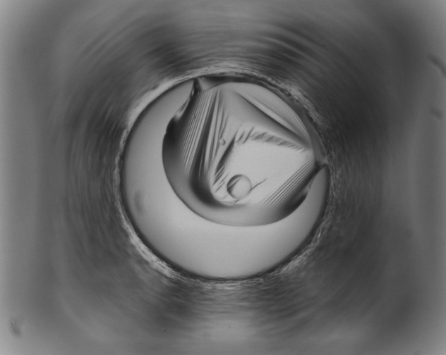 X0000099431134200806061013