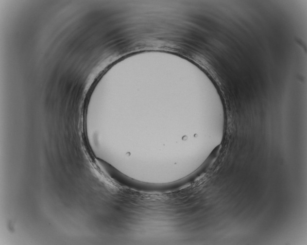 X0000099431136200806061013