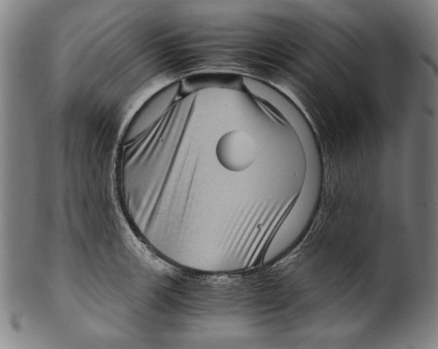 X0000099431139200806061013