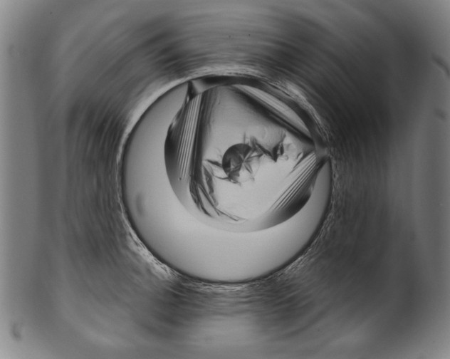 X0000099431140200806061013