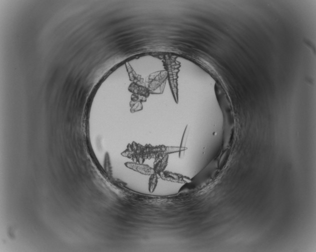 X0000099431141200806061013