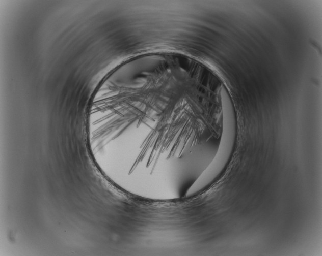 X0000099431142200806061013