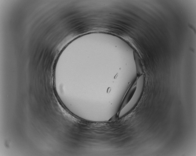 X0000099431143200806061013