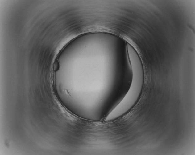 X0000099431144200806061013