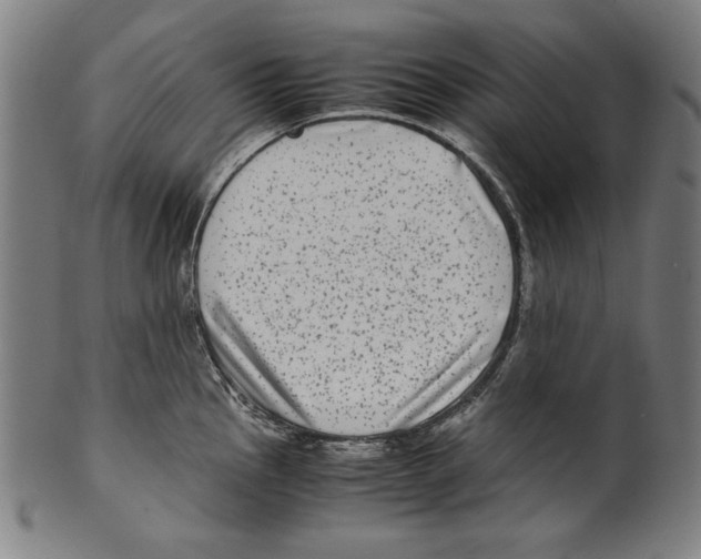 X0000099431145200806061013