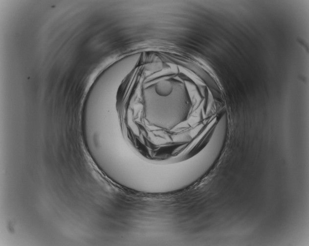 X0000099431146200806061013