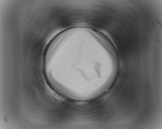 X0000099431147200806061013