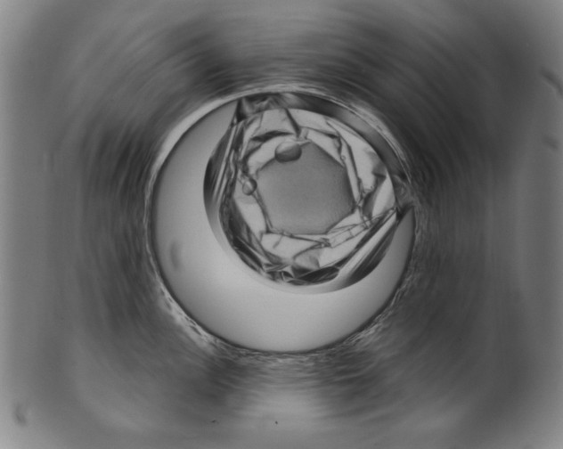 X0000099431148200806061013