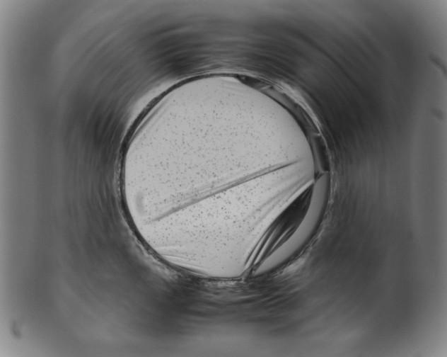 X0000099431149200806061013