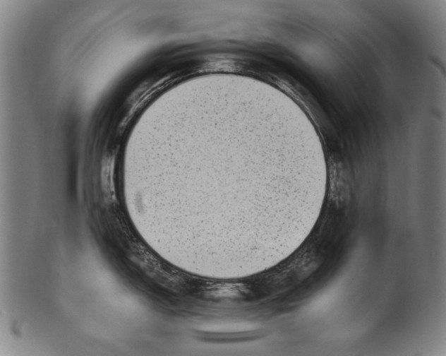 X0000099431150200806061013