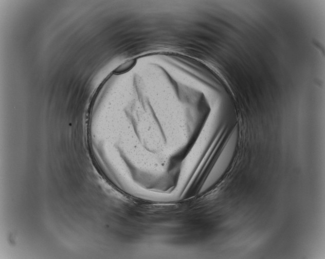 X0000099431151200806061013