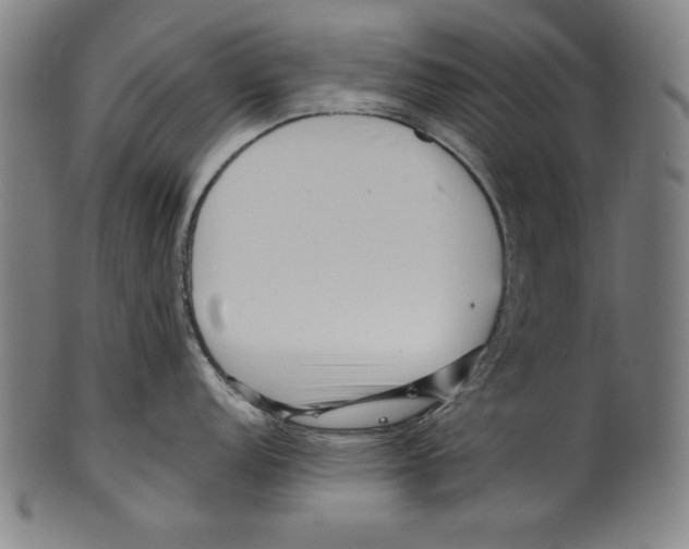 X0000099431152200806061013