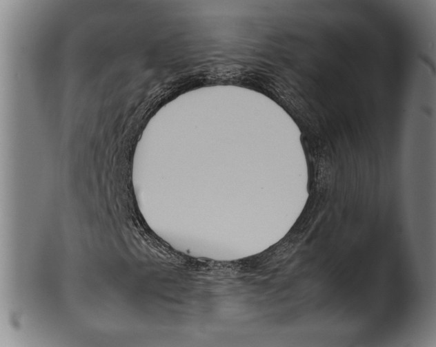 X0000099431153200806061012