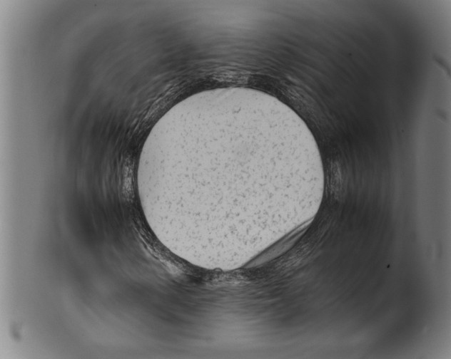 X0000099431154200806061012