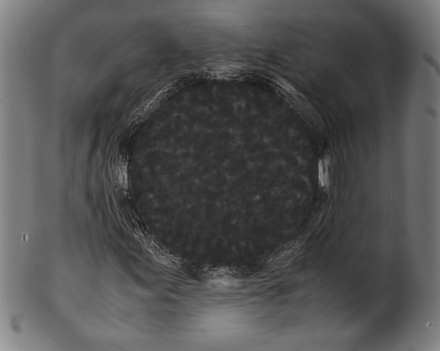 X0000099431155200806061012