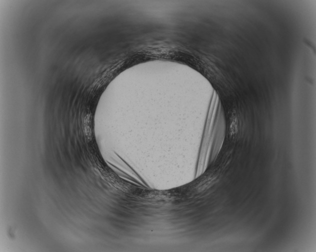 X0000099431156200806061012