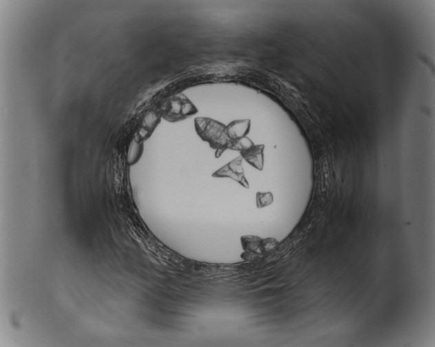 X0000099431158200806061012